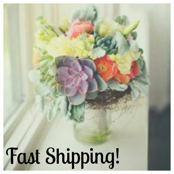 TORRID Tile Print High Waist Swimsuit Bottom 4x - Picture 6 of 7